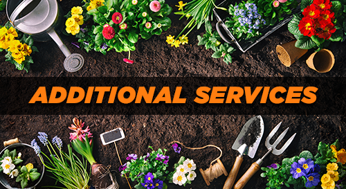 Services - Additional Services