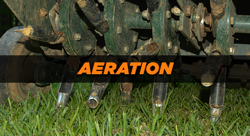 Additional Services - Aeration