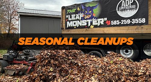 Services - Seasonal Cleanups