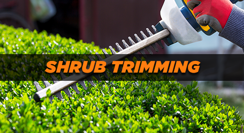 Additional Services - Shrub Trimming